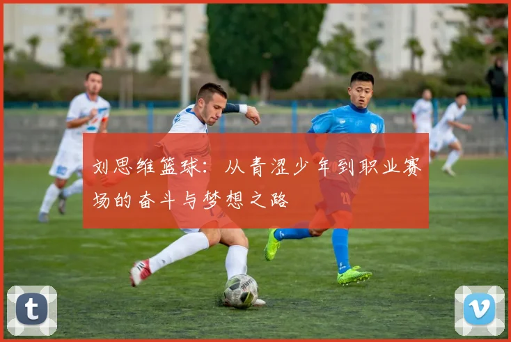 刘思维篮球：从青涩少年到职业赛场的奋斗与梦想之路