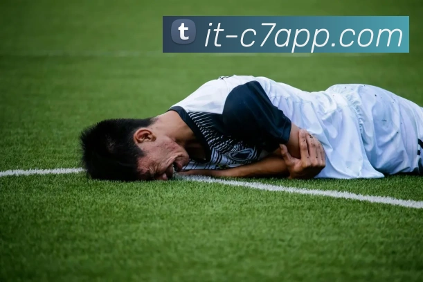 C7C7 APP服务体系